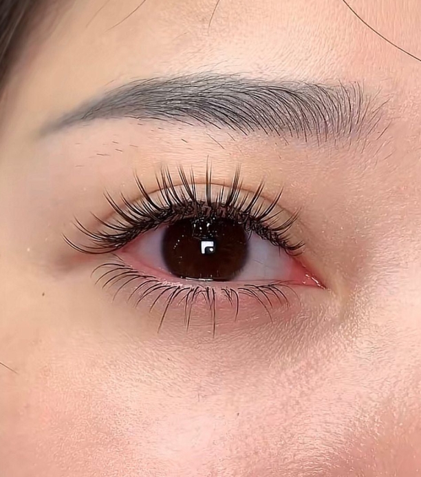 Mi Dưới