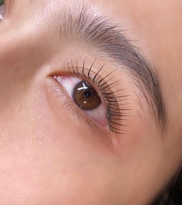 Uốn Mi Collagen